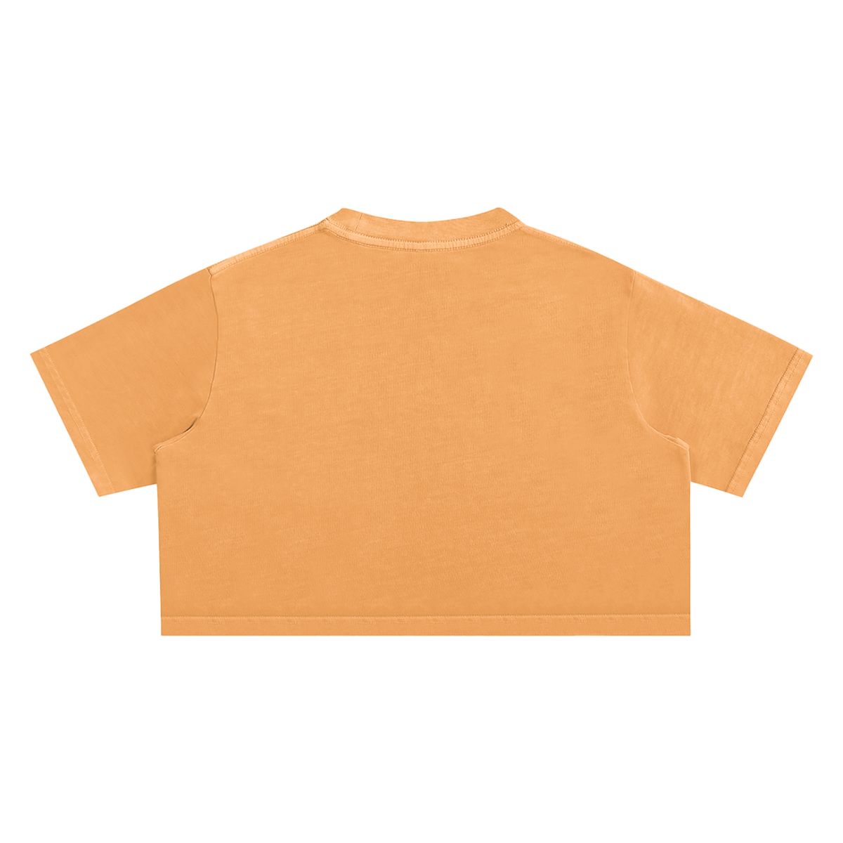 SINR REBEL | SINR CO. EMBROIDERED SNOW-WASH CROP
