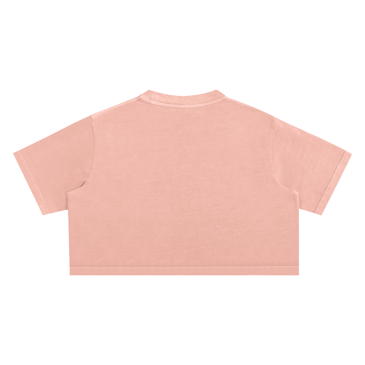 SINR REBEL | SINR CO. EMBROIDERED SNOW-WASH CROP