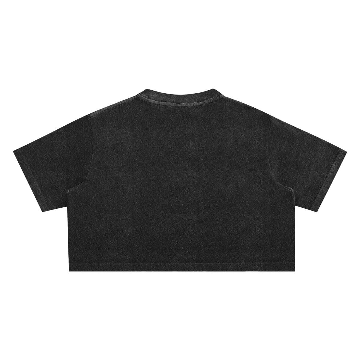 SINR REBEL | SINR CO. EMBROIDERED SNOW-WASH CROP