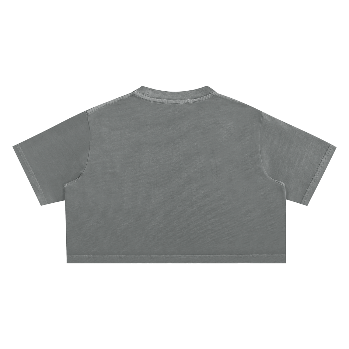 SINR REBEL | SINR CO. EMBROIDERED SNOW-WASH CROP